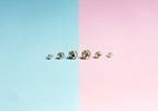 Polished stud earrings